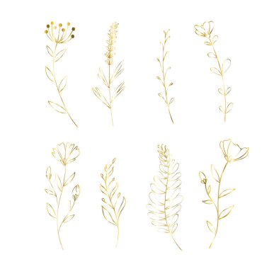 Altın çiçek seti. Düğün için çiçek süsleme malzemeleri. Vektör yalıtılmış altın gelincik, gül, zambak.
