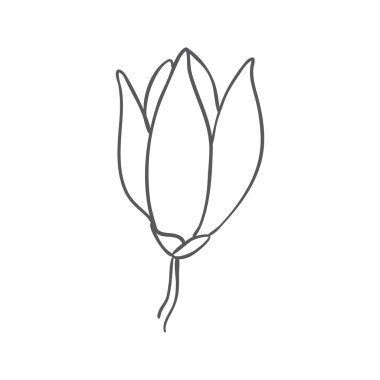 Beyaz arka planda elle çizilmiş manolya çiçeği çizimi. Vektör illüstrasyonu.