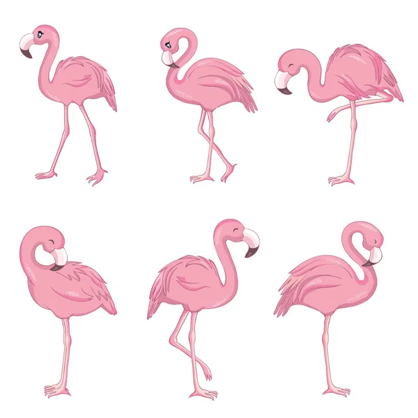 Vektorsæt Med Fire Lyserøde Flamingoer Isoleret Den Hvide Baggrund Flad – Stock-vektor