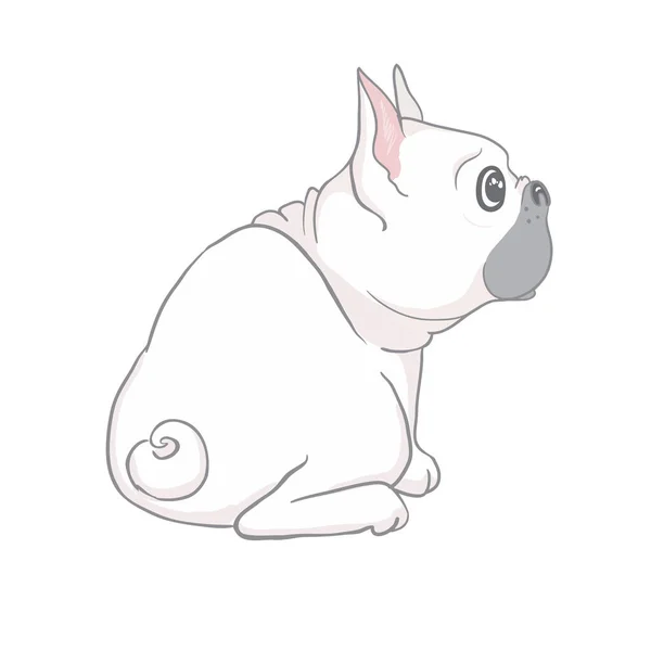 프랑스 불독귀여운 강아지가 흰색에 고립된 재밌는 머리기울이기 그림을 가지고 애호가들의 — 스톡 벡터