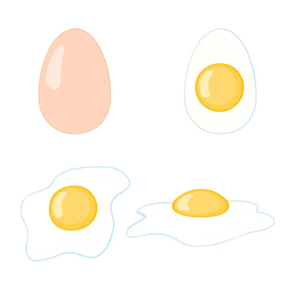 卡通蛋在白色背景上被隔离 一组煎 半切鸡蛋 矢量图解 各种形式的蛋 — 图库矢量图片