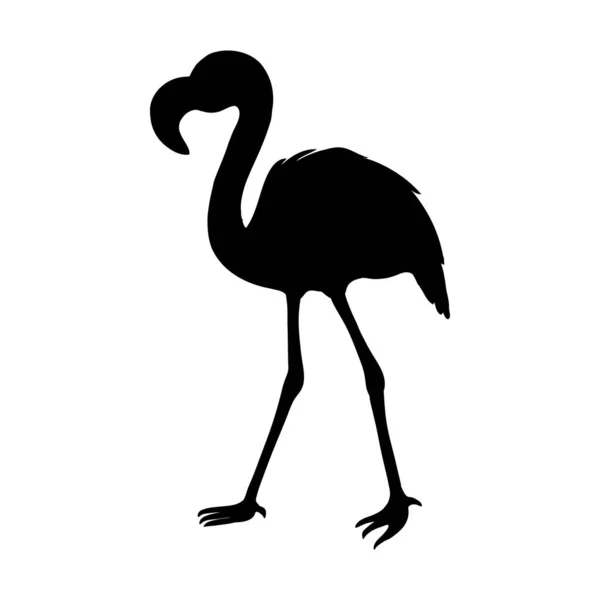 Flamingo Isolato Uccello Esotico Fenicottero Silhouette Elemento Decorativo Design Piatto — Vettoriale Stock