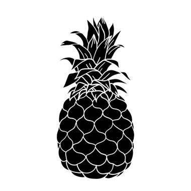 Ananas - ananas tropikal meyvesinin vektör çizimi, siyah ve beyaz. Grafiksel ananas resmi. Retro mürekkep çizim stili. Beyazda izole edilmiş.