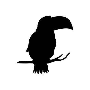 Beyaz arka planda izole edilmiş bir Toucan siluetinin vektör çizimi. Tucan 'ın yan görünüm profili.