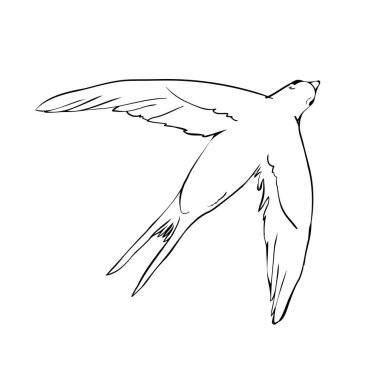 Siyah siluet çizgili uçan kırlangıç, beyaz üzerine izole edilmiş. Vektör dövme illüstrasyonu.