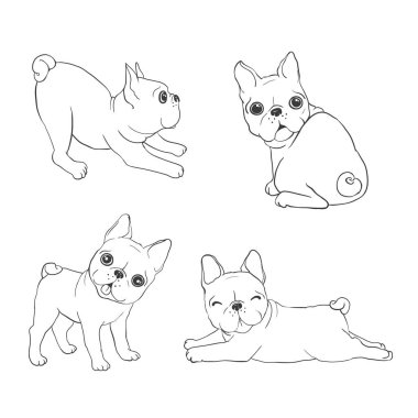 Fransız bulldog geçmişi. Vektör çizimi. Köpek, resim, Fransızca.