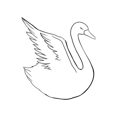 Kuğu skeci. Siyah kuş beyaz arka planda izole edilmiş. illüstrasyon vektörü