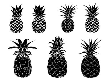 Ananas - ananas tropikal meyvesinin vektör çizimi, siyah ve beyaz. Grafiksel ananas resmi. Retro mürekkep çizim stili. Beyazda izole edilmiş.