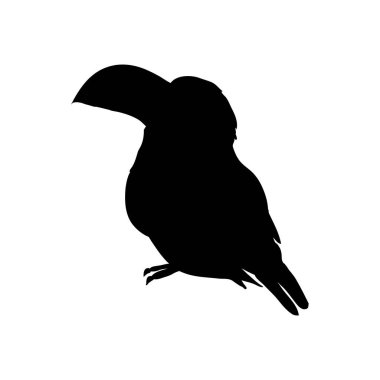 Beyaz arka planda izole edilmiş bir Toucan siluetinin vektör çizimi. Tucan 'ın yan görünüm profili.