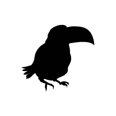 Beyaz arka planda izole edilmiş bir Toucan siluetinin vektör çizimi. Tucan 'ın yan görünüm profili.