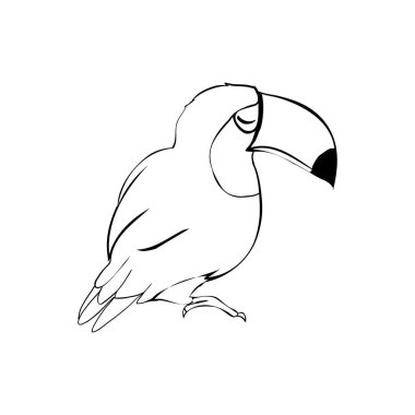 Tukan kuşunun çizimi. Beyaz arka planda siyah bir illüstrasyon. Vektör, resimleme.