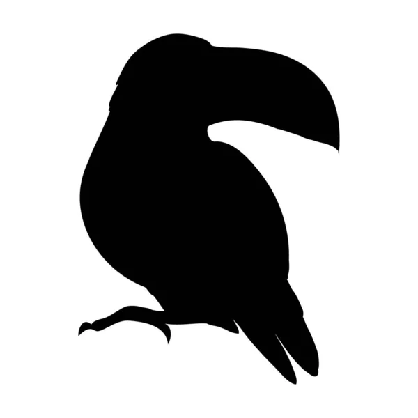 Vector Illustratie Van Een Toucan Silhouet Geïsoleerd Een Witte Achtergrond — Stockvector