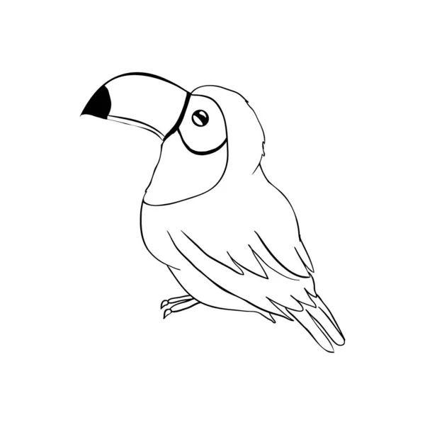 Schets Van Toekan Vogel Zwarte Illustratie Een Witte Achtergrond Vector — Stockvector