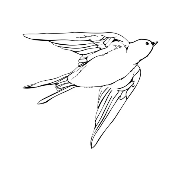 Silhueta Preta Delineia Andorinha Voadora Isolada Branco Ilustração Tatuagem Vetorial — Vetor de Stock