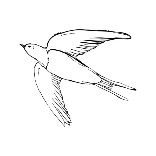Silhueta Preta Delineia Andorinha Voadora Isolada Branco Ilustração Tatuagem Vetorial — Vetor de Stock
