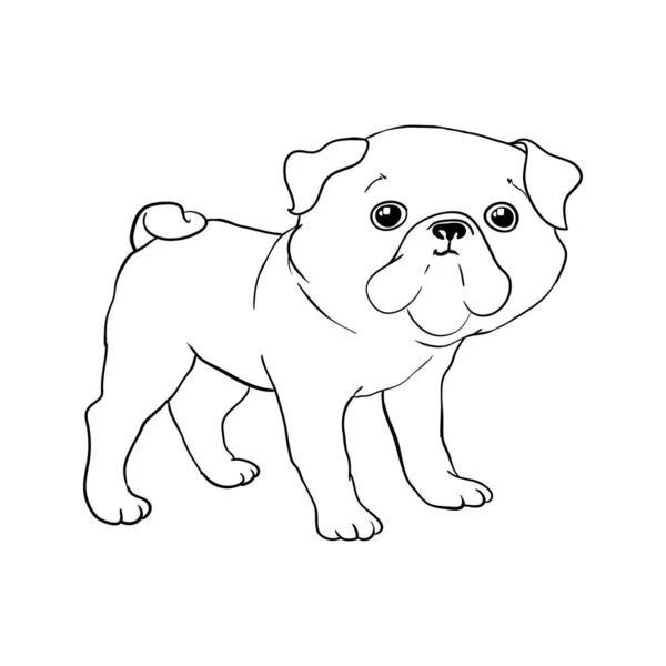 Pug Vektor Ruční Kreslení Ilustrace Černé Barvě Izolované Bílém Pozadí — Stockový vektor