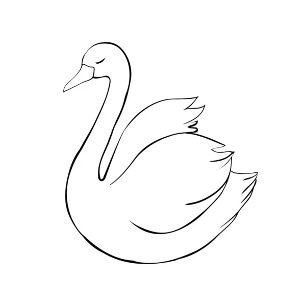 Esbozo Cisne Pájaro Negro Aislado Sobre Fondo Blanco Ilustraciones Vector — Vector de stock