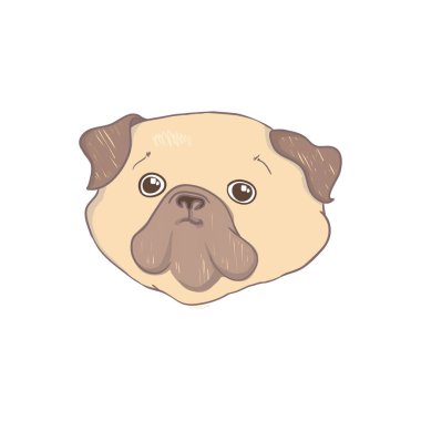 Komik Pug köpeğinin portresi. Espri kartı, tişört kompozisyonu, el çizimi stil baskısı. Vektör illüstrasyonu.