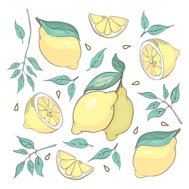 Posterler, logolar, ürün ambalajlama tasarımı için izole edilmiş limon ve yapraklar.