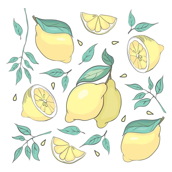 Set Terisolasi Lemon Sketsa Dan Daun Untuk Poster Logo Desain - Stok Vektor