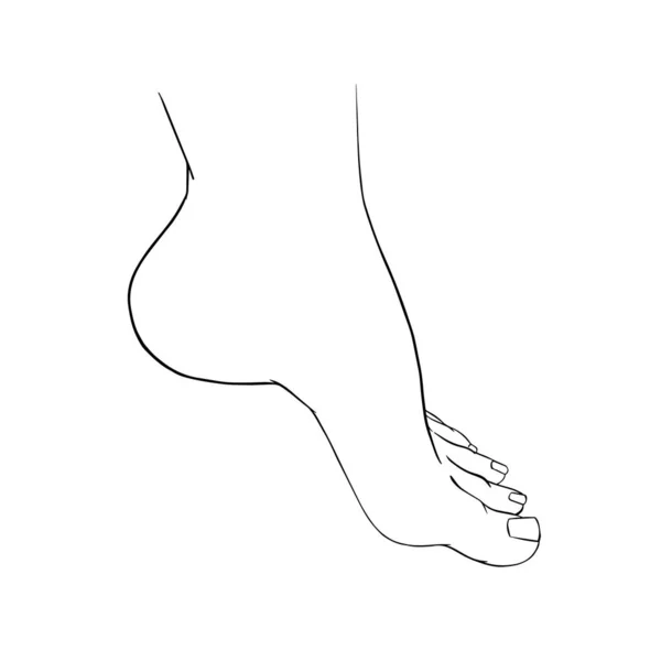 美しい女性の足の裸足のスケッチ 白黒のアウトラインスケッチ マニキュアや化粧品のためのデザイン要素 輪郭線のベクトル図 — ストックベクタ
