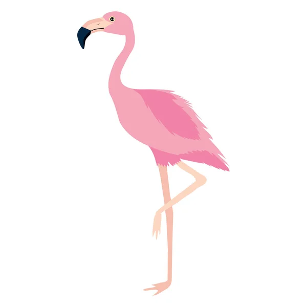 Mignon Flamant Rose Imprimé Pour Enfants Design Tropical Illustration Vectorielle — Image vectorielle