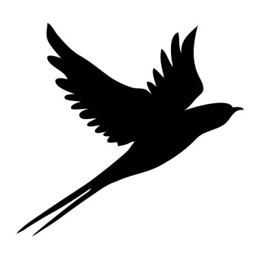 Silüeti yut. Beyaz arka planda yalıtılmış kırlangıç. vektör illüstrasyonu