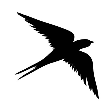 Silüeti yut. Beyaz arka planda yalıtılmış kırlangıç. vektör illüstrasyonu