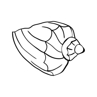 Deniz kabuğundan elde çizilmiş bir karalamanın vektör çizimi.