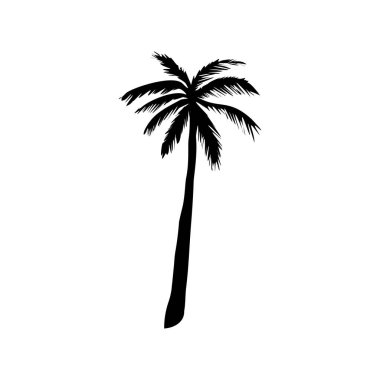Hindistan cevizi palmiyesi silueti, palmiye ağacı çizimi, beyaz arka planda vektör yaz tabelası