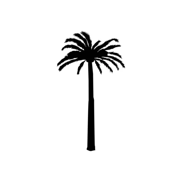 Kokosnoot Palm Silhouet Palmboom Illustratie Vector Zomer Teken Een Witte — Stockvector