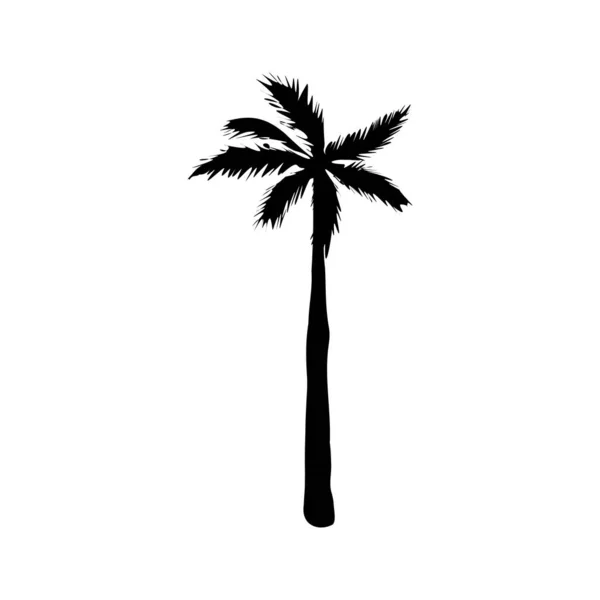 Silueta Palma Coco Palmera Ilustración Vector Signo Verano Sobre Fondo — Vector de stock