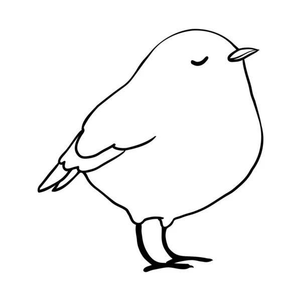 Illustrazione Lineare Dell Uccello Disegnato Mano Del Fumetto Carino Scarabocchio — Vettoriale Stock