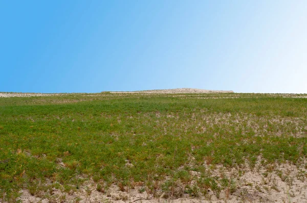 Agricultura Deserto Thar — Fotografia de Stock