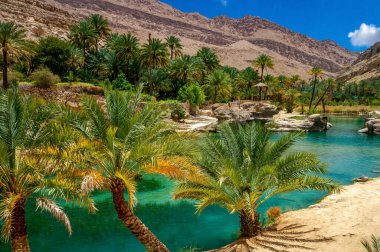 A fascinating view of an oasis in the Oman clipart