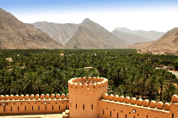 Vue Aérienne Palmeraie Dattier Dans Oman — Photo