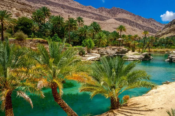 Une Vue Fascinante Une Oasis Oman — Photo