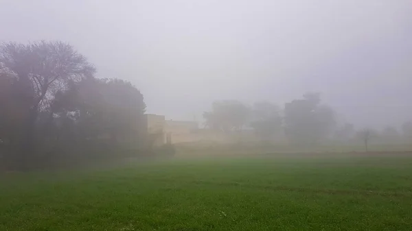 Smog Countryside India — Foto de Stock