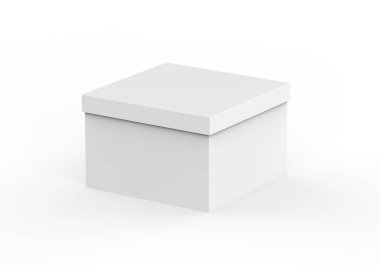 Markalaştırma sunumu için iç tilki ile beyaz boş boyun kutusu ve taklit, 3D illüstrasyon