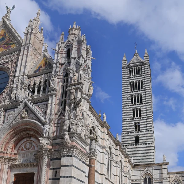 钟塔的锡耶纳大教堂-意大利 — 图库照片