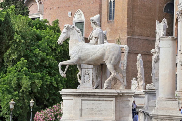 Jednym z Dioscuri, na XX Settembre del Campidoglio w Rzymie. — Zdjęcie stockowe