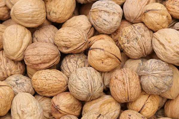 Pile of walnuts. Agriculture background. — Stock Photo, Image
