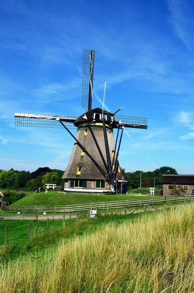 Wasserturm in aalsmeer vilage lizenzfreie Stockfotos