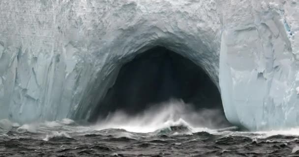 Ondas Mar Batendo Contra Iceberg Com Caverna Geórgia Sul Território — Vídeo de Stock