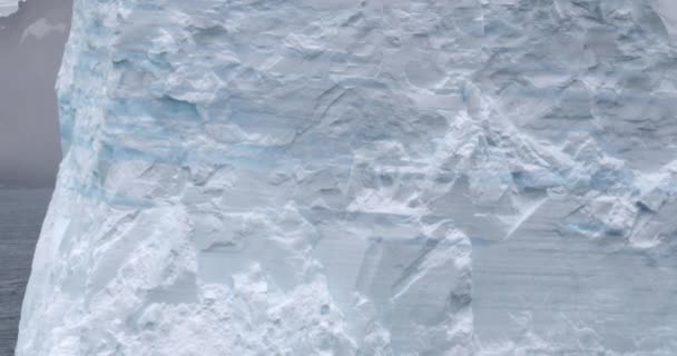 Παγόβουνο Και Χιόνι Καλύπτονται Ακτή Νήσος Ελέφαντας Ανταρκτική Χερσόνησο Ανταρκτική — Αρχείο Βίντεο