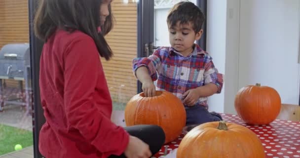 Hermano Hermana Tallando Calabazas Para Halloween — Vídeos de Stock