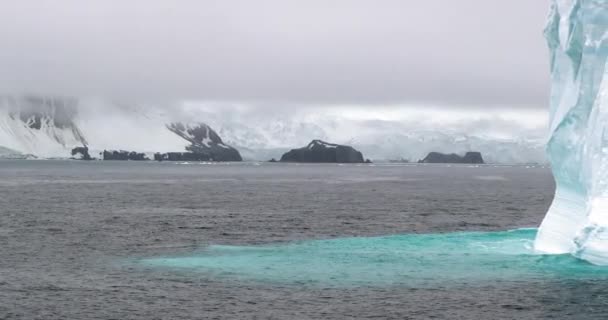 Iceberg Costa Cubierta Nieve Isla Elefante Península Antártica Antártida — Vídeos de Stock