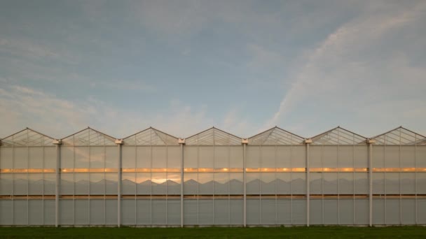 Treibhaus Bei Sonnenaufgang Zeeland Niederlande — Stockvideo