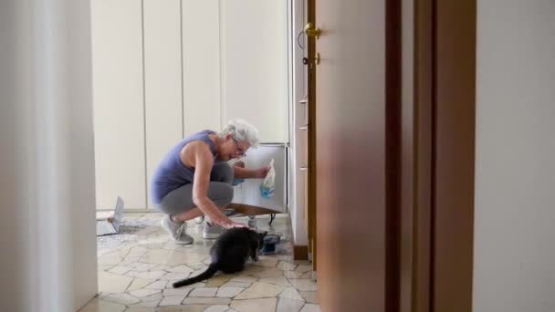 Senior Mulher Alimentando Gato Casa — Vídeo de Stock