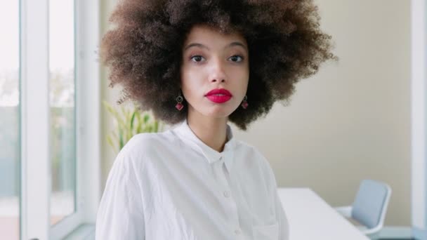 Πορτρέτο Της Νεαρής Γυναίκας Μαλλιά Afro Στο Γραφείο — Αρχείο Βίντεο